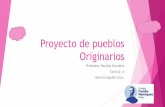 Trabajo Nº 1 - Proyecto Pueblos Originarios de Chile