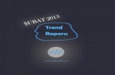 Şubat'13 Trend Raporu