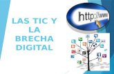 Luis Brecha digital de las tics