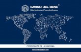 Savino Del Bene, Global Logistics and Forwarding Company