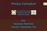 Pectus carinatum ppt