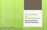 Clase 23 alcaloides en papaveraceas