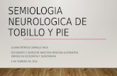 Semiologia neurologica de tobillo y pie