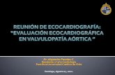 Evaluación ecocardiográfica en Valvulopatía aórtica