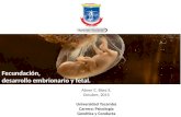Fecundación,  Desarrollo embrionario y fetal.