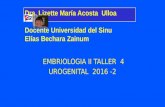 Taller  4  urogenital 2016  2