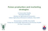 Ifpri pulses policies