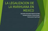 La legalizacion de la marihuana en mexico