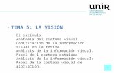 El Doctor Juan Coullaut y el tema 5 de la visión