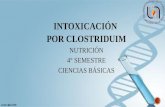 Intoxicación por clostridium