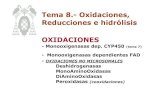 Tema 8.- Oxidaciones, Reducciones e hidrólisis OXIDACIONES