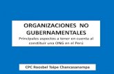 Organismos No Gubernamentales - ONGs