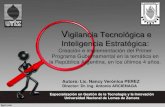 Vigilancia Tecnol³gica e Inteligencia Estrat©gica