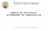 MANEJO DE PASTIZALES EN HUANCAVELICA