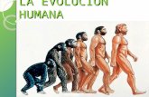 Tema1 origen y evolucion huamana