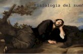 Fisiología del Sueño. El sueño de los españoles