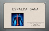 (2016 04-14)espalda sana (ppt)