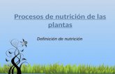 Procesos de nutrición de las plantas - definición de nutricón