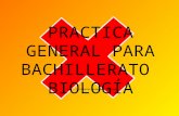 Practica general para bachillerato  biología