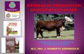Sistemas de produccion bovinos carne   razas