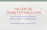 Taller de Diabetes Mellitus