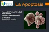 La apoptosis