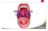 Neoplasias dentales   mafe 22141089