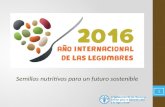 Año Internacional de las Legumbres 2016