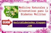 Medicina Naturales para la Diabetes con Hierbas Curativas para Diabeticos
