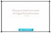 Sesion 05 expresiones algebraicas