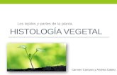 Histología vegetal