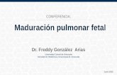 Maduración pulmonar fetal. Dr. Freddy González Arias