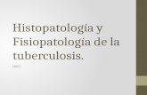 Histopatología y Fisiopatología de la Tuberculosis