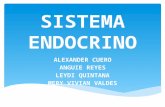 Sistema Endocrino y Dermatològico.