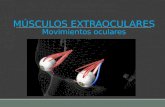 Clase 04 musculos extraoculares