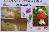 Funcions vitals dels animals