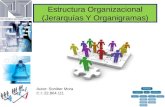 Estructura organizacional (jerarquías y organigramas)