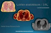 Cortes anatomicos / TAC