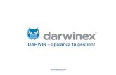 Darwinex: apalanca tu gestión