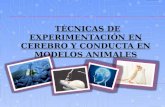 Tecnicas de experimentacion en cerebro y conductas animales