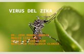 Fiebre zika