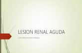 Lesion Renal Aguda y Cronica
