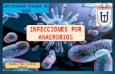 Infecciones por anaerobios