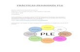 Práctica pedagogía - PLE