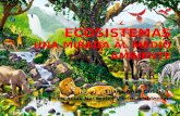 Ecosistemas " Una mirada al Medio Ambiente"