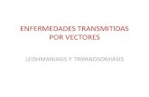 Presentacion tripanosomiais leishmaniasis