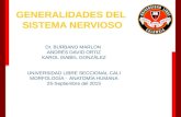 Sistema Nervioso - Generalidades