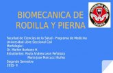 Biomecánica de Rodilla y Pierna