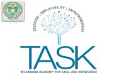 task presentation org