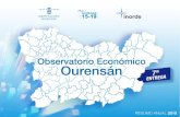Observatorio Económico Ourensan - Carballiño 2016